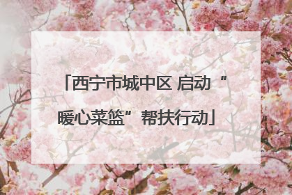 西宁市城中区 启动“暖心菜篮”帮扶行动
